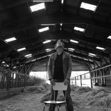 Mon père avait trois vaches